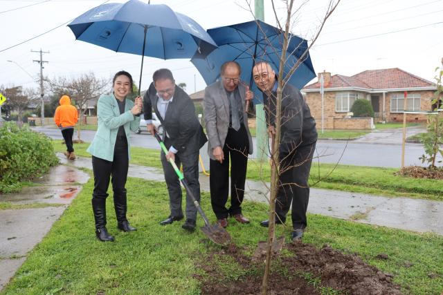 Four people standing planting a tree
